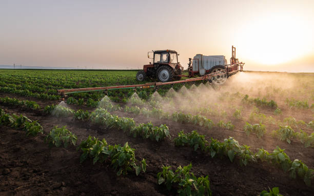 Best Local Pest Control Services  in Frazier Park, CA