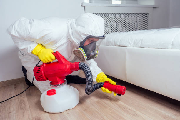 Best Bed Bug Extermination  in Frazier Park, CA