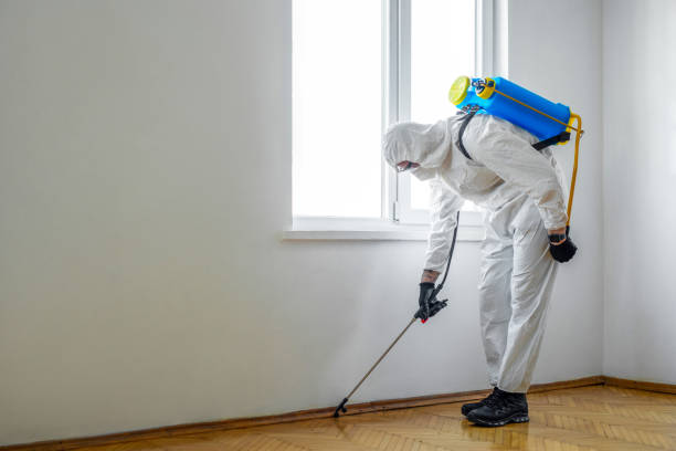  Frazier Park, CA Pest Control Pros