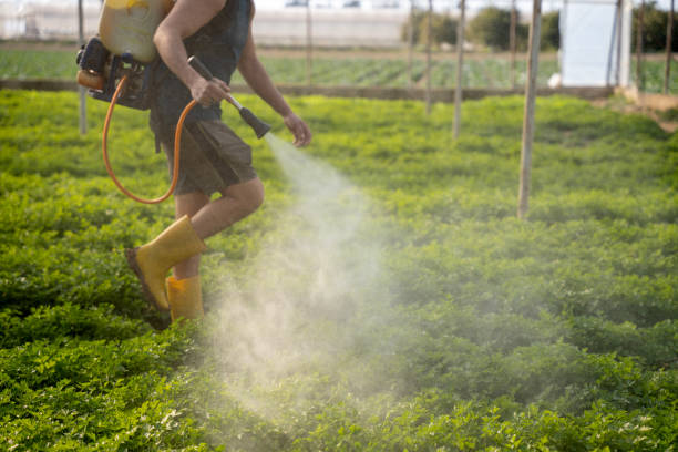 Best Residential Pest Control  in Frazier Park, CA
