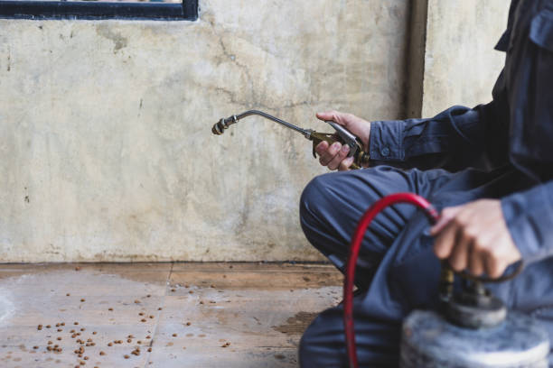 Best Pest Prevention Services  in Frazier Park, CA